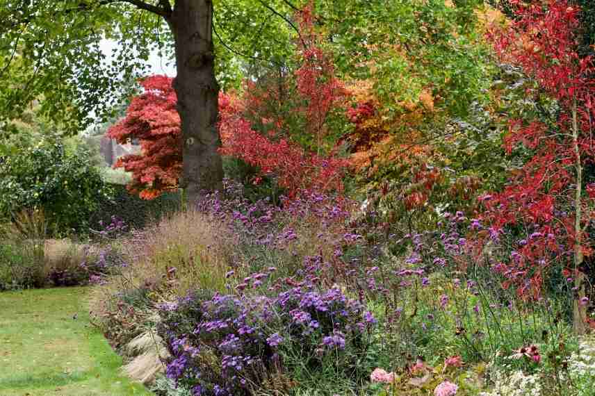 plantes a ne pas tailler en automne