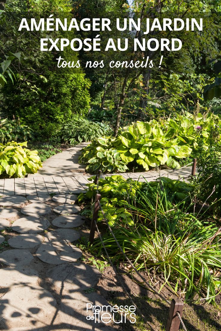 Conseils, astuces et idées pour un jardin ombragé