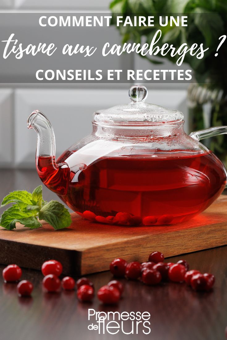 Coffret cadeau : Une théière + infusion douce et fruitée