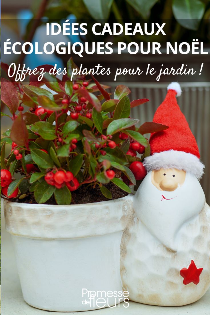 Noël : 5 idées de cadeau autour du jardin