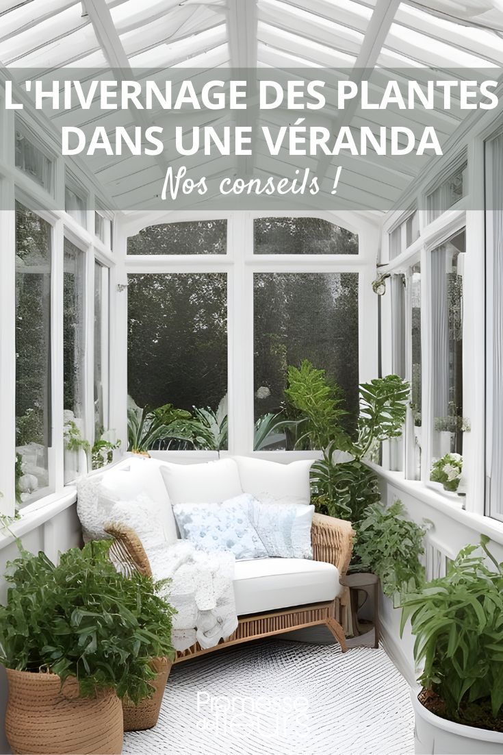 Déco véranda : photos, conseils, et idées pour votre maison !