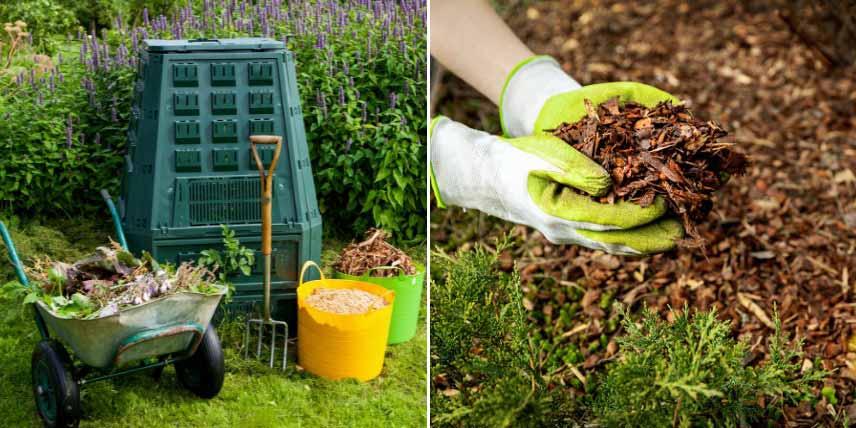 compost et paillage