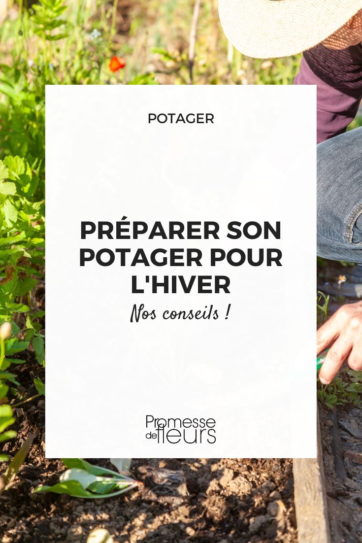 que faire en automne au potager avant l'hiver