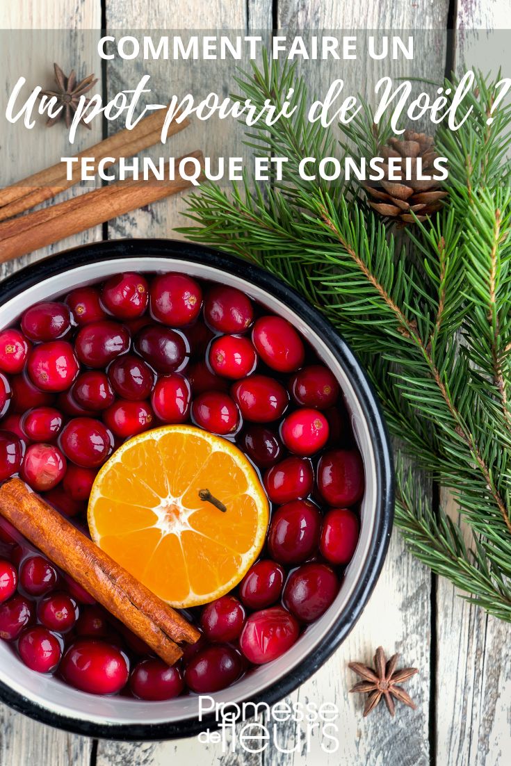 Comment fabriquer un sapin de Noël éco-responsable - Blog Promesse