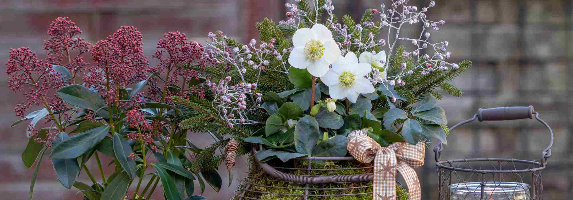 11 idées de jardinières pour fleurir mon balcon - Gamm vert