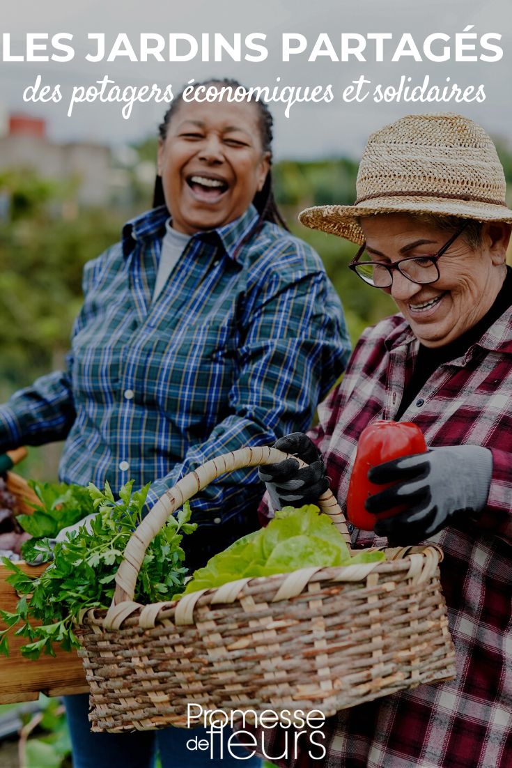 jardins et potagers partagés