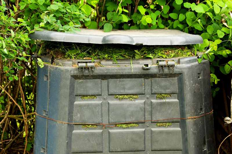 Emplacement du composteur : 5 critères pour bien choisir - Jardindeco