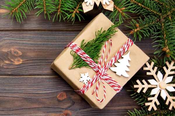 Noël 2023 approche : découvrez nos idées-cadeaux pour les jardiniers !