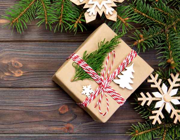 10 idées de cadeaux jardin pour Noël