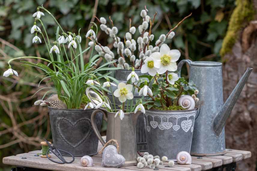 Balcon fleuri en hiver