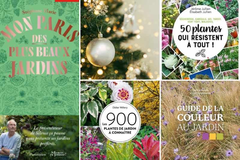 C'est bientôt Noël : nos idées-cadeaux pour les jardiniers - Blog Promesse  de fleurs