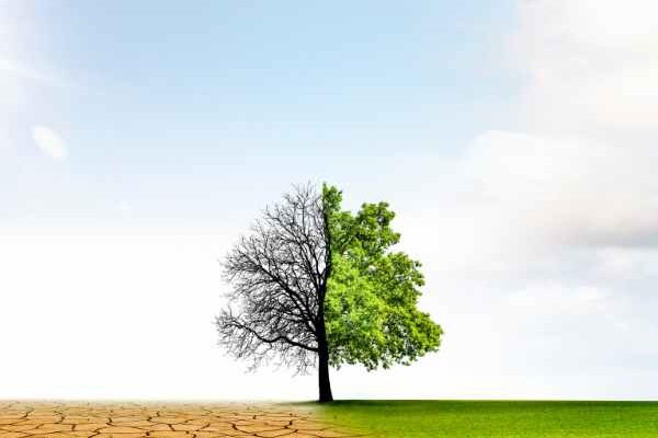 Le 8 décembre, c'est la Journée Mondiale du Climat