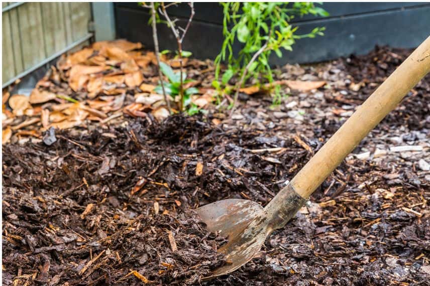 préparation potager pour hiver