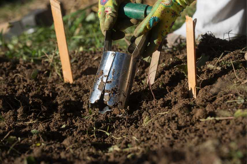 plantoir articule pour bulbes