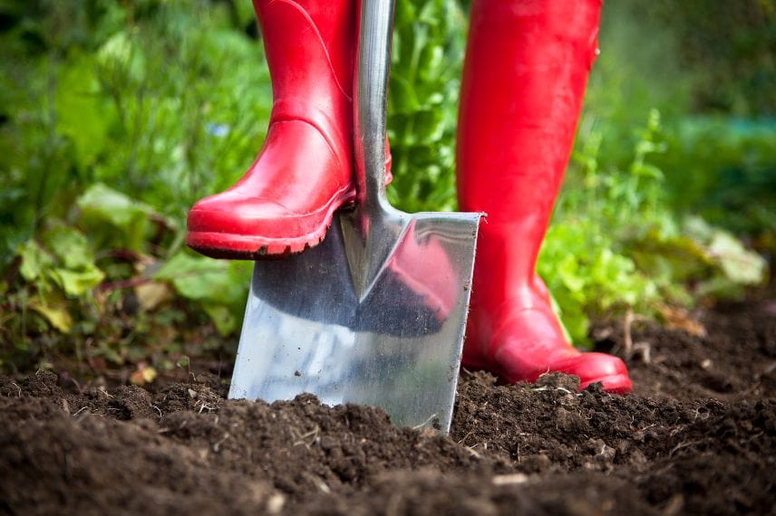 préparation potager pour hiver