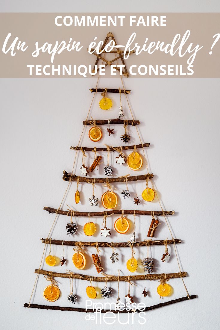 Comment fabriquer un sapin de Noël éco-responsable - Blog Promesse