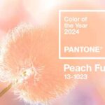 Couleur de l'Année 2024 : Peach Fuzz va inspirer vos jardins !