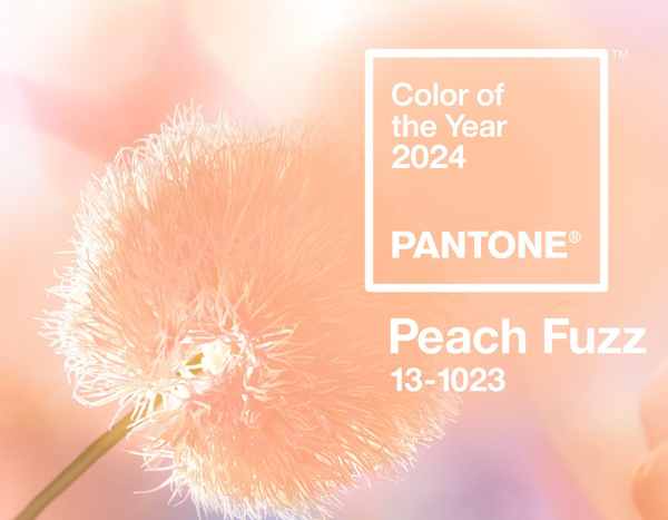 Couleur de l'Année 2024 : Peach Fuzz va inspirer vos jardins !