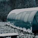 Culture sous serre en hiver : avantages et conseils pratiques