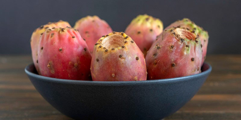 Récolter et consommer les Figues de Barbarie