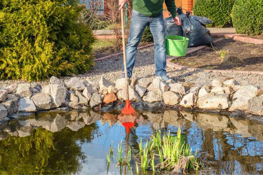 Entretenir un bassin ou une mare en fonction des saisons - Blog Promesse de  fleurs