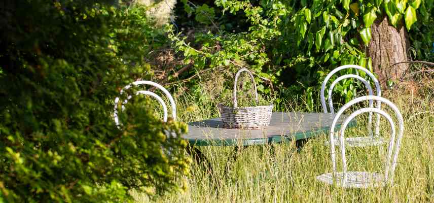 qui doit entretenir un jardin en location