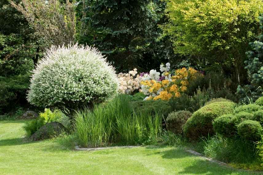 jardin beau au printemps