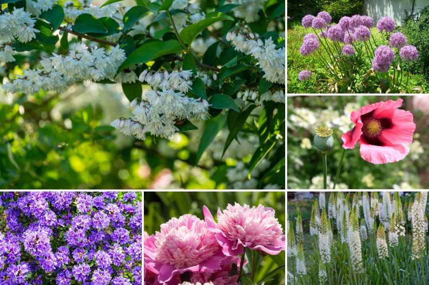 amenagement jardin fin de printemps