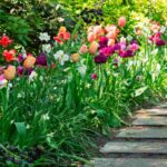 Comment avoir un jardin attrayant et fleuri au début du printemps ?