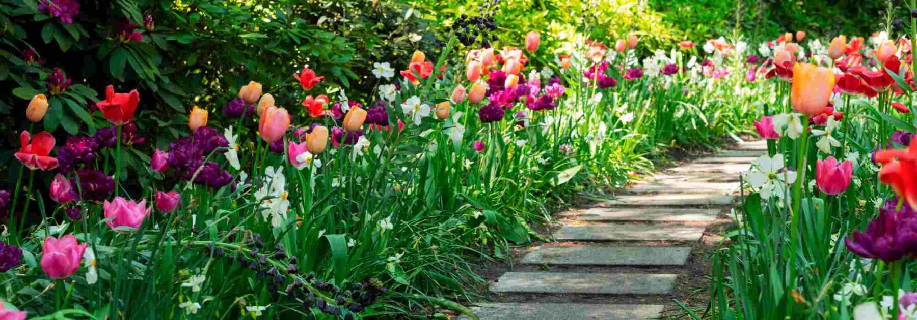 Comment avoir un jardin attrayant et fleuri au début du printemps ?