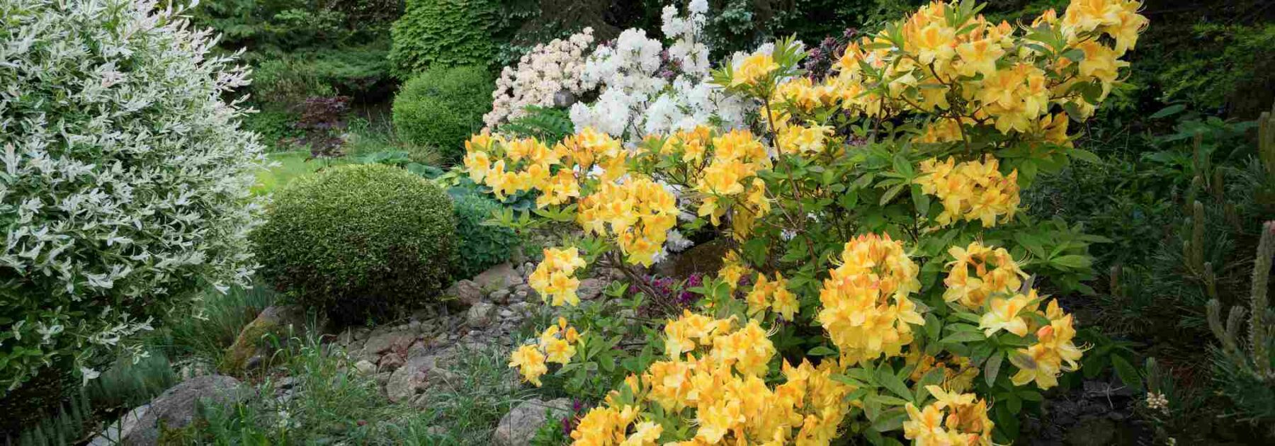 Comment avoir un jardin fleuri et attrayant à la fin du printemps ?