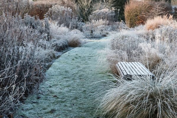 Comment rater l'entretien de votre jardin en hiver en 7 leçons ?