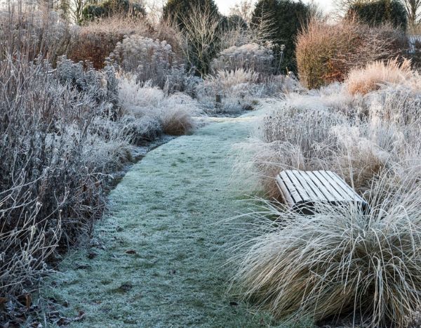 Comment rater l'entretien de votre jardin en hiver en 7 leçons ?