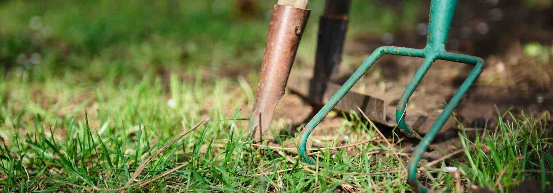 En location, qui doit entretenir le jardin ?