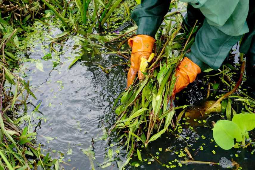 entretenir bassin en hiver