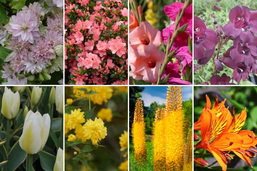 jardin beau en fin de printemps