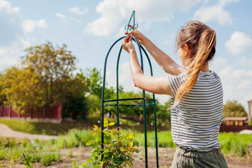 amenager creer massif pour le printemps