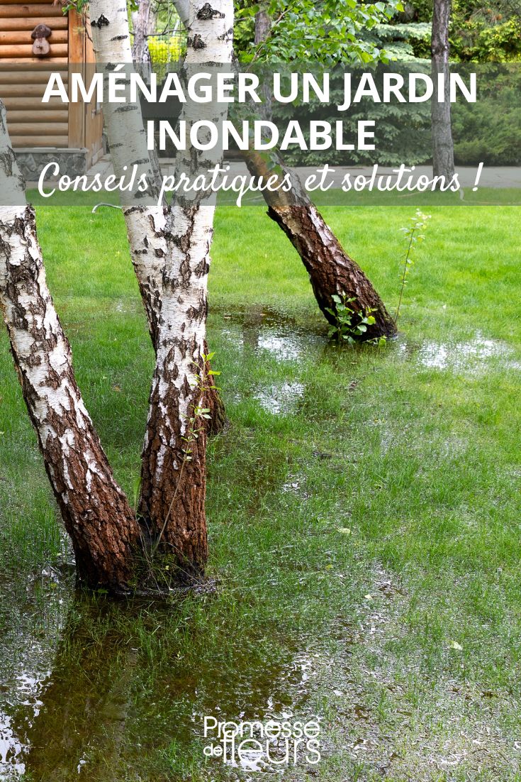 jardin et inondation