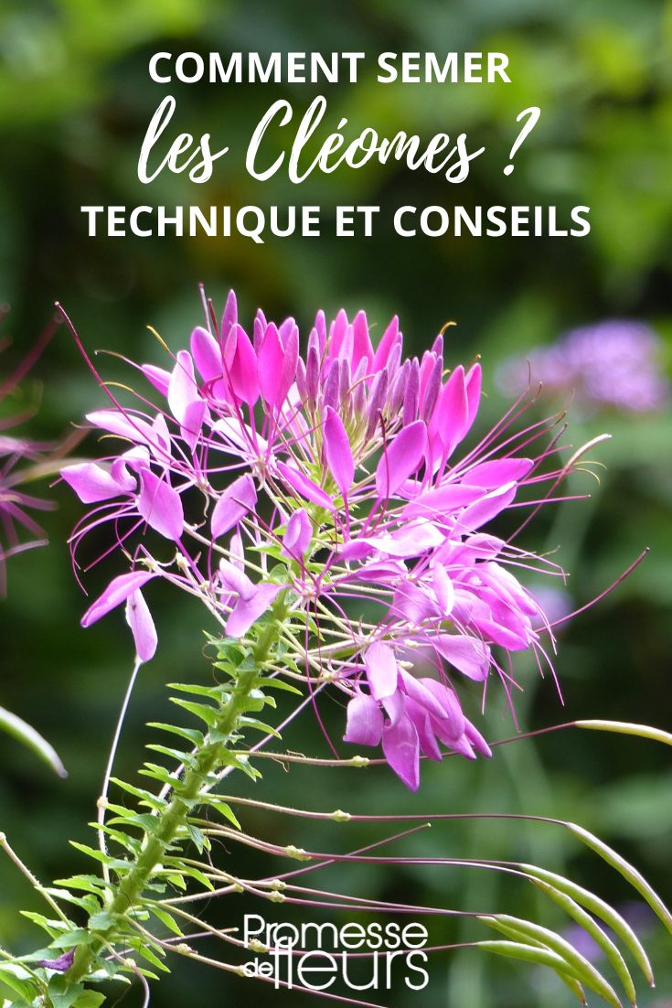 conseils et techniques