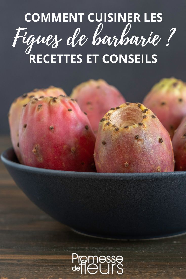 Figues Séchées - Achat, Bienfaits, Utilisations, Recettes