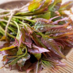 Comment cuisiner les feuilles de "l'arbre à salade" Toona sinensis ?