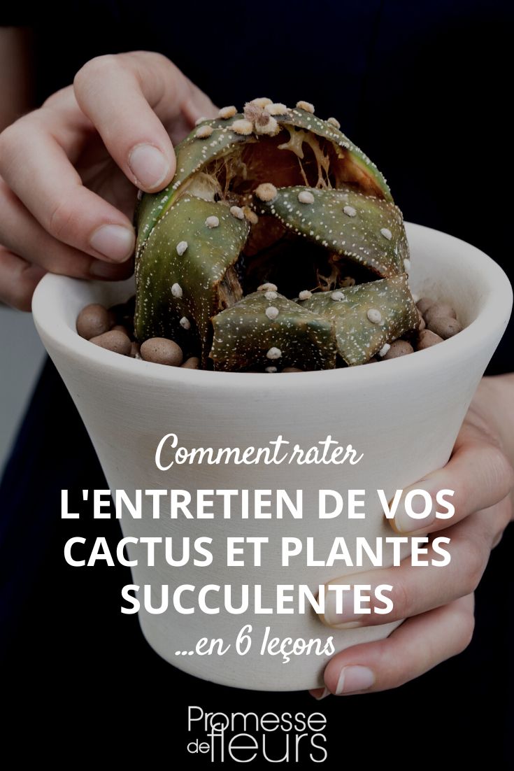 rater les succulentes