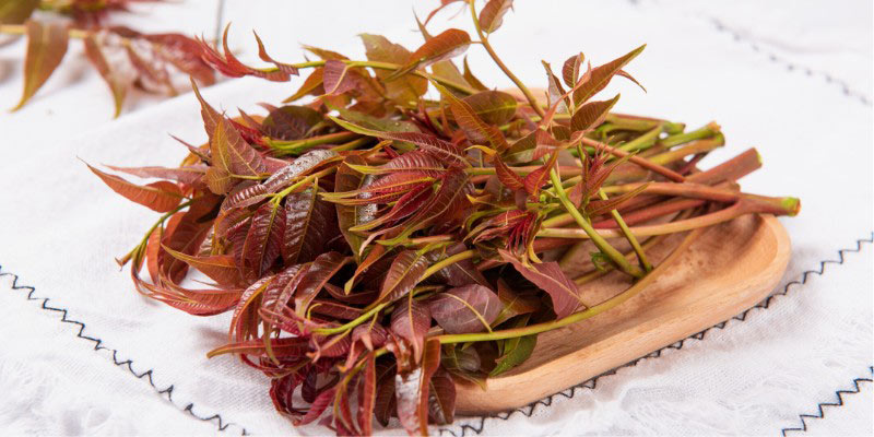 Comment cuisiner les feuilles de Toona sinensis