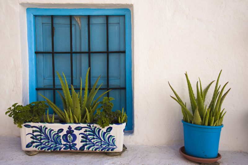 Les bulles d'arrosage pour plantes en pot Ensemble de 2, Simons Maison