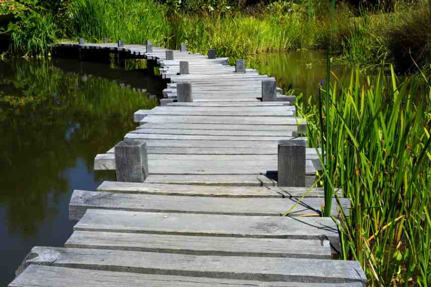 structures jardins inondables