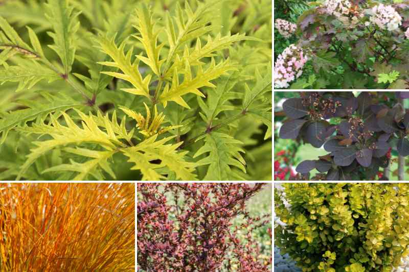 Créer un univers zen qui tient dans une soucoupe à fleurs - La Voix du Nord