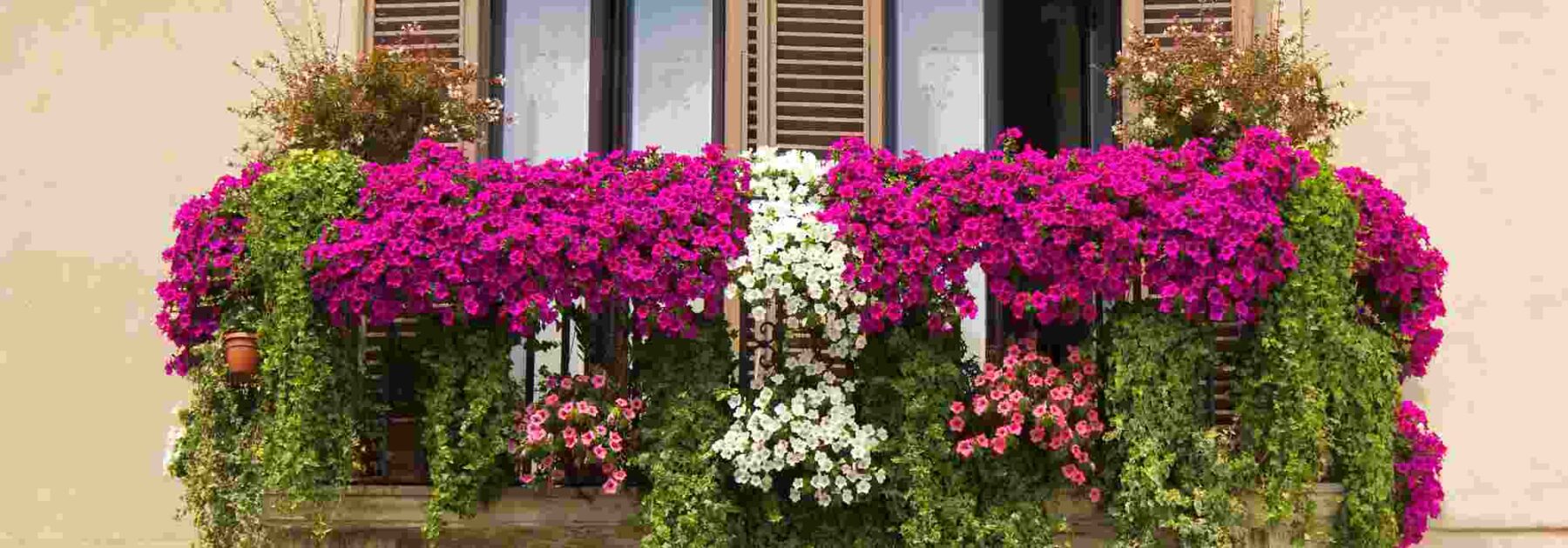 Aménager et végétaliser un balcon sans vous ruiner, c'est possible !