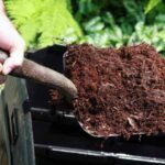 Compost : où et comment bien l'utiliser au jardin ?