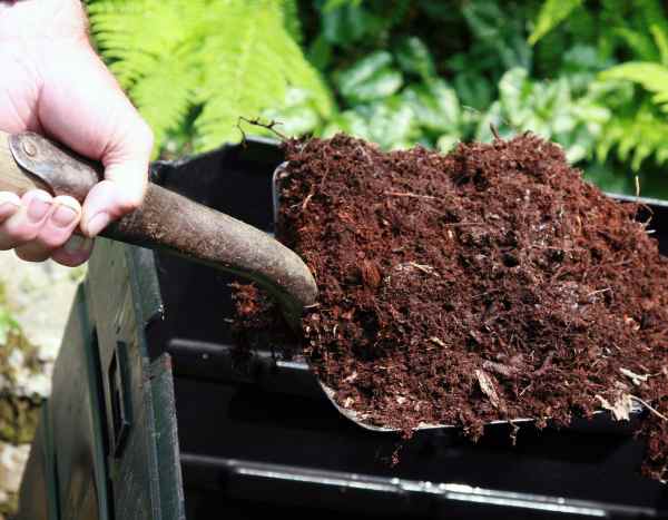 Compost : où et comment bien l'utiliser au jardin ?