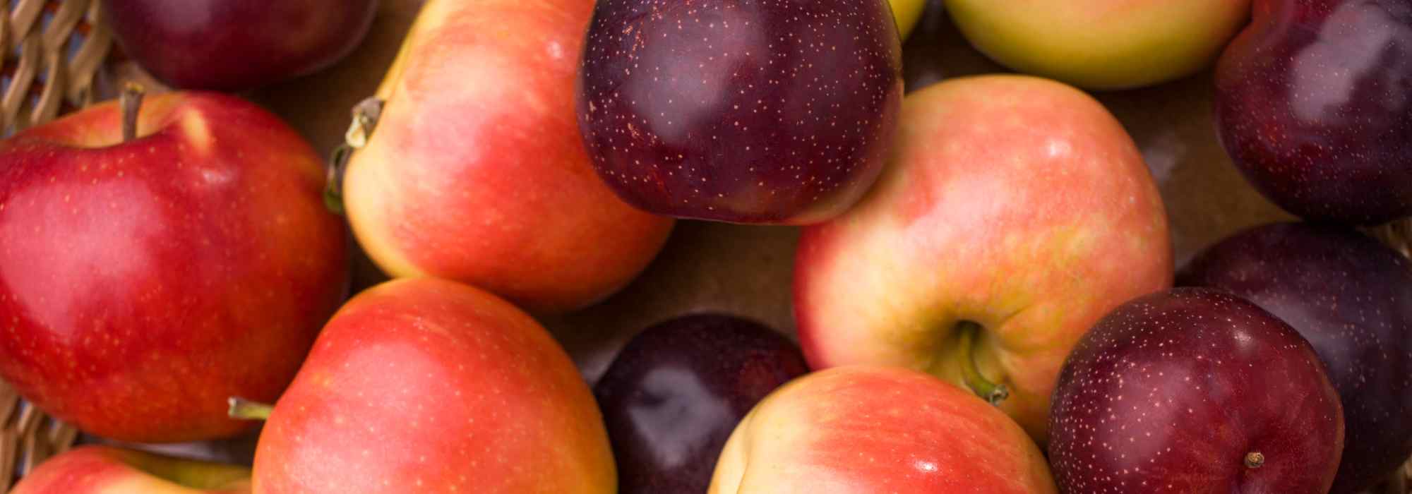 Fruits à pépins ou fruits à noyaux : quelles sont les différences ?